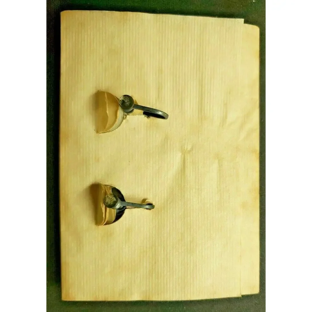 Vintage Earrings Made From Real Butterfly Wings‎ Flamingos New In Box ScrewBack